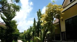 The Forest Home Resort - Ban Dong - 5