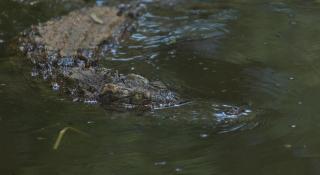 Hotel Galleria - Davao - 9