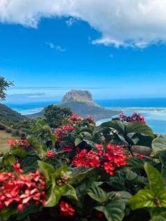 La Croix du Sud appartment - 6