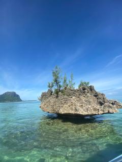 La Croix du Sud appartment - 4