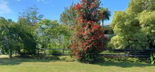 Ashcroft Gardens Bed & Breakfast - 8