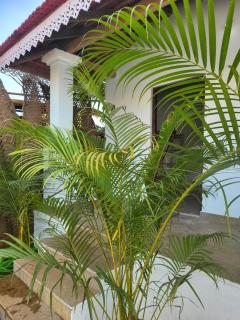 REWOGA Gaia Resort - Rooms with Open-Air Shower - 3