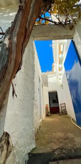 GP Cortijo Palmera - 3