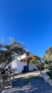 GP Cortijo Palmera - 4