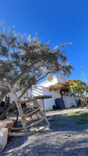 GP Cortijo Palmera - 6