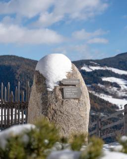 DILIA Chalets & Apartments - 6