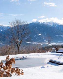 DILIA Chalets & Apartments - 5