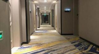 Vienna International Hotel Shanghai Pujiang - 7