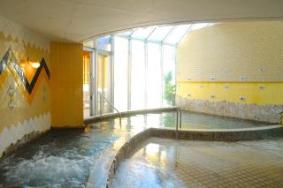 Tateyama Resort Hotel - Tateyama - 3