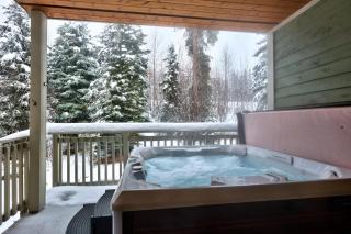 Settlers Crossing #29 By Bear Country - 5