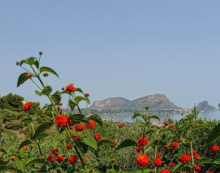 Sea View Holiday - Altavilla Milicia - 7