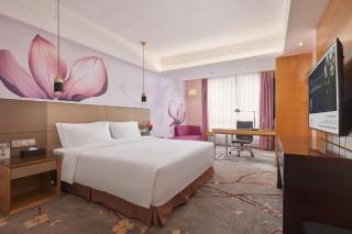 Yueyang Grand Skylight Hotel - 9