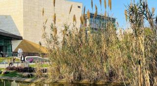 Hi Inn Shanghai Zhongshan Park Branch - 8