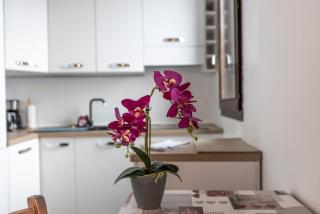 Oasi In the City Center Chamonix - 2