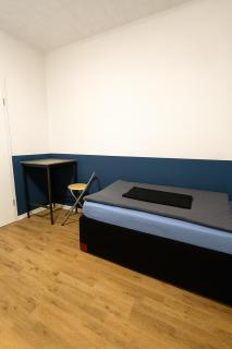 Moderne 3-Zimmer-Ferienwohnung in Emersleben - 4