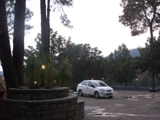 Forest Ville Hotel & Resort - Kasauli - 9
