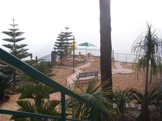 Forest Ville Hotel & Resort - Kasauli - 5