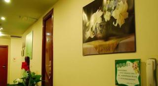 GreenTree Inn Beijing South Railway Station Tiantan Puhuangyu - 5