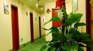 GreenTree Inn Beijing South Railway Station Tiantan Puhuangyu - 4