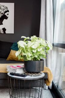 Contemporary Townhouse in Central Hamilton - 5