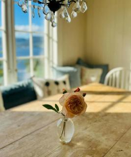 Sommerhus På Stranden, Stor Hage Og Egen Brygge - 1