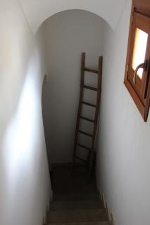Soleluna - 1