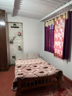 Wild garden home stay - 8