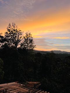 Wild garden home stay - 7