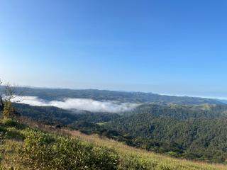 Wild garden home stay - 2