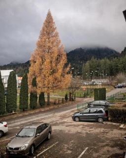 Caraiman View Suite, Zona Silva - 2