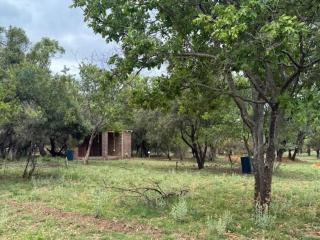 Impala Game Ranch - 7