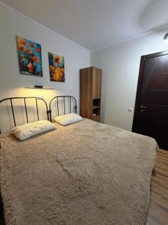 Bakuriani New Mgzavrebi - 1