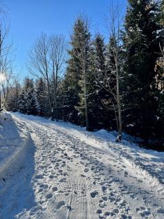 Zederberg Appartements - 3