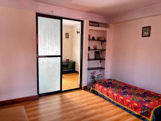 Charming Flat in Old Kathmandu - 4