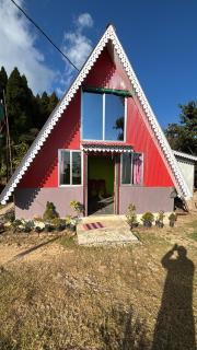 Green Valley Homestay - 5