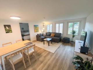 Apartment im Winkel - Reinach - 8