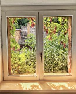 Chez l'Alsacienne - Andlau - 7