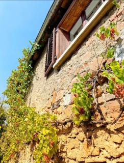 Chez l'Alsacienne - Andlau - 1