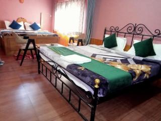 Melody Orchard Cottage Manali - 3