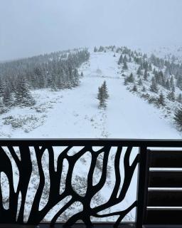 Vila Golija Sky View Kopaonik - 1