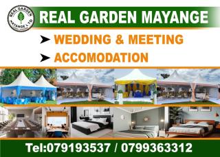 Real garden Mayange - 8