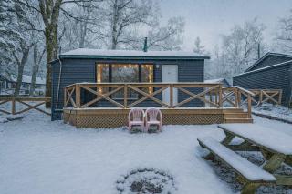 2-Bedroom Cottage #10 - Pitch Pine - 0