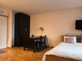 Chamonix cœur de ville - Aiguille du midi - 9