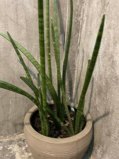 Paradise Sunset Beach - Koh Rong Sanloem - 8