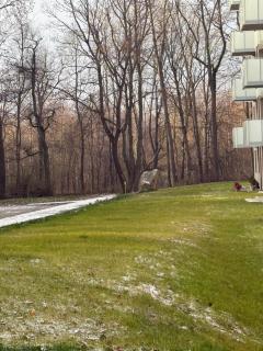 Park & Town Apartment - 3