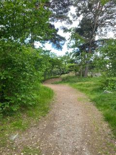 Cottage By The Sea On Djurö - 1