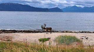 Cabin By The Beach In Stonglandsodden - 0