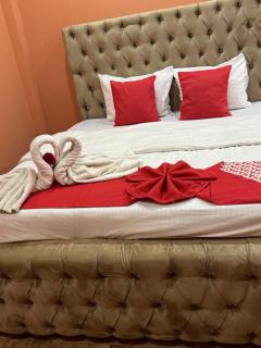 White Palace airport hotel - 8