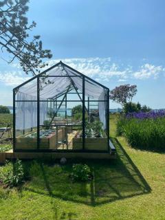 Romantic Country Cabin With Fjord Views On Åmøy - 0