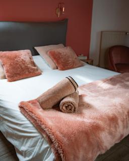 "La Combe Fleurie" Appartements & Chambres - Saint-Bonnet-en-Champsaur - 9